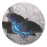 Red Spotted Admiral Butterfly stickers