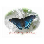 Red Spotted Purple Butterfly Series Postcard