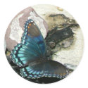 Red-Spotted Purple Butterfly stickers