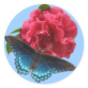 Red-spotted Purple on Camellia Sticker