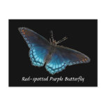 Red-spotted Purple Postcard