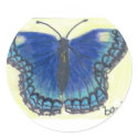 Red Spotted Purple stickers