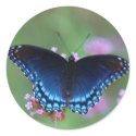 red-spotted purple stickers