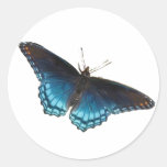 Red-spotted Purple Sticker