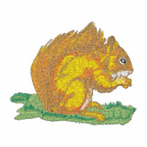 Red Squirrel