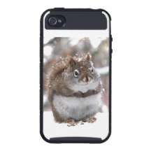 Red Squirrel in Snow iPhone 4 Covers
