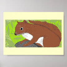Red Squirrel picture Poster