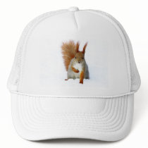 Red Squirrel sitting on snow Trucker Hats