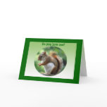 Red Squirrel Valentine cards