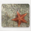 Red Starfish Mousepad