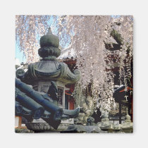 Red Stone lanterns, pink blossom, Nara, Sakura flo magnets