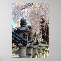 Red Stone lanterns, pink blossom, Nara, Sakura flo Posters