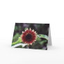 "Red Sunflower" Floral photography Greeting Card