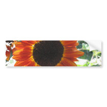 Red Sunflowers Bumper Stickers