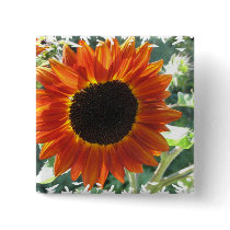 Red Sunflowers Button