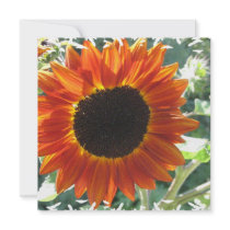 Red Sunflowers Invitations