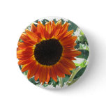 Red Sunflowers Pin buttons
