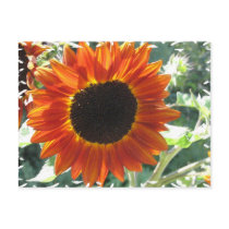 Red Sunflowers Postcard