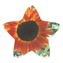 Red Sunflowers Stickers