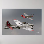 Red Tail Escort posters