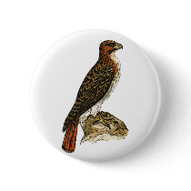 Red Tail Hawk Pin