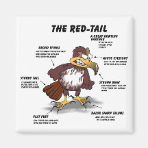 Red-tail Hawk Cartoon Fridge Magnets