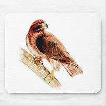 Red Tail Hawk Mouse Pads