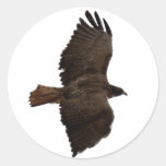 Red-tail sketch stickers
