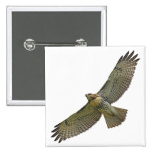 red-tail soaring Button