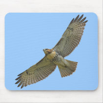 red-tail soaring Mousepad