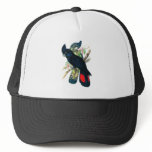 Red tailed, Black (Banksian) Cockatoos. Hats