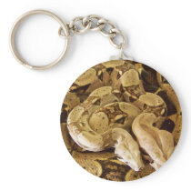 Red Tailed Boas Keychains