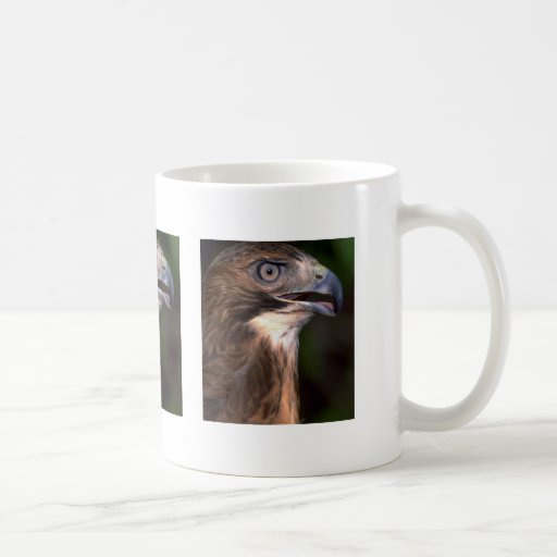 Red tailed hawk coffee mugs
