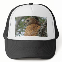 Red Tailed Hawk Hat