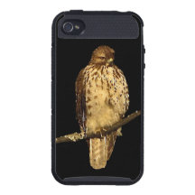 Red Tailed Hawk iPhone 4 Case