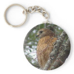 Red Tailed Hawk Keychain