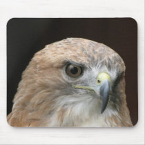 Red tailed hawk mousepad