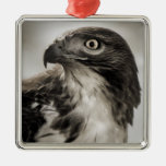 Red-tailed Hawk Ornament