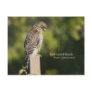 Red-tailed Hawk Postcard