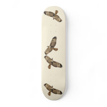 Red Tailed Hawk Raptor Birds Skateboard