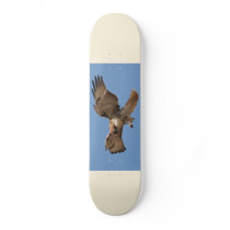 Red-Tailed Hawk Skateboard
