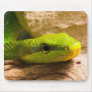 Red Tailed Racer Mouse Mat