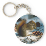 Red Tailed Squirrel Key Chain