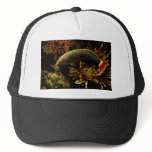 Red-tailed Wrasse Mesh Hat