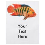 Red Terror Cichlid Fish Flyer