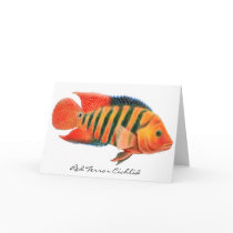 Red Terror Cichlid Greeting Card