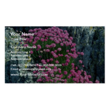 Red Thrift flowers Business Cards
