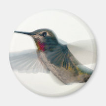 Red-Throated Hummingbird Refrigerator Magnet
