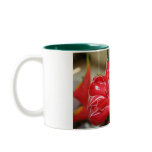 Red Torch Ginger Flower Mug