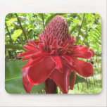 Red Torch Ginger mousepads